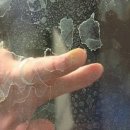 수원-0450 | [욕실코팅] 수원 영통 청문고시텔 시공후기