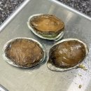 방파제횟집 | THE 방파제 “제로슈가전복장” 후기 | 방파제횟집에서 만난 건강한한끼