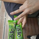 렌즈미 동국대점 | 귀한 곳에 누추한 분이...