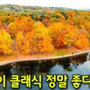 가을 아침을 적시는 서정적인 연주곡 14곡 이미지