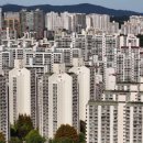 분당-397 이미지