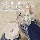 개미플라워 | 장마에는 레인부츠 대신 헤븐리젤리 젤리슈즈지! (내돈내산 신종 개미지옥 젤꾸)
