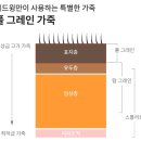 875 | [패션] 레드윙 목토 875 - 발목 브레이커, 사이즈 후기