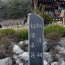 백청사 이미지