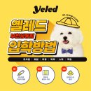 옐레드 부천상동점 이미지