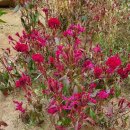 양재근린공원 이미지