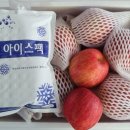 이광용사과농장