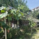 문화공간 이육사 앞 공원 이미지