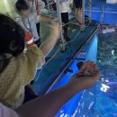 해양 숙박 이미지