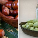 정안밤톨이정보화마을 이미지