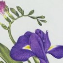 화산동주민센터 이미지