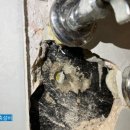 부영건축설비 이미지