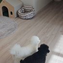 진등길 | 더원이룸디자인 중문, 터닝도어 시공 내돈내산 솔직 후기 울산 양산 중문 커텐 블라인드 업체 추천