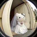 호텔아모르 | WD1. 대전-청주 웨딩홀투어 (팔레드오페라/아모르아트/호텔ICC) | 홀투어후기 | 견적