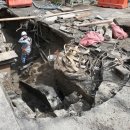 새벽시장 이미지