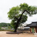 진장올래
