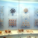 진해박물관 이미지