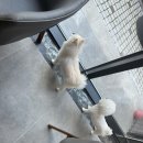 해피멍쓰데이 이미지