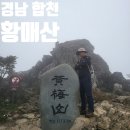 장박1무명교 | 경남 합천 미리내파크 오토캠핑장 황매산 억새 철쭉 등산 최단 코스