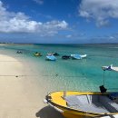 무지개해양수족관 | 오키나와 민나섬 스노클링 해수욕 투어와 츄라우미 수족관 돌고래쇼 고래상어 생생 후기