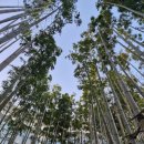 정원여중 정류장 지난 건널목 | 뉴질랜드&amp; 밀포드 트레킹, 혼자서 오클랜드 거쳐 퀸스타운까지 갔다.