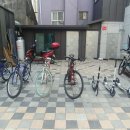 도담삼봉 자전거길 이미지