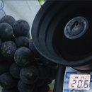 귀중농장 이미지