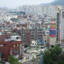 명장2동-17 Daum카페