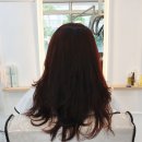 대구 상인동 미용실 :: 반하다 헤어살롱 방문 후기!