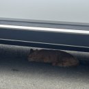 안양일번가 이미지