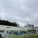 천안동양펫타운 | [천안 애견카페] 펫프닝타운, 아이와 가볼만한 곳 입장료 없이 넓은 야외 운동장까지 만족 후기
