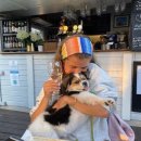 발편한동물병원 이미지