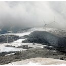 바람개비 이미지