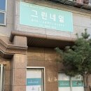 동탄 반송동네일 그린네일 여름 패디 후기