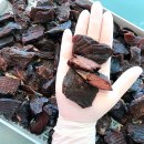 멍멍한끼 이미지