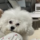 인동중앙로6길-2 이미지