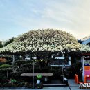 목련주유소 이미지