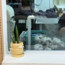 냥이네 목욕탕 이미지