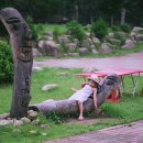 박쏘가리 이미지