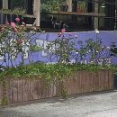 지에스25 삼척해변점 이미지