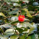 서천국민체육센터 이미지