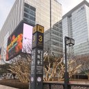 종로-신영-종로-영-270 | 올리브베러 광화문 핫플레이스 방문 올록담 제품 구매 후기