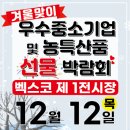 새벽전람 이미지