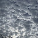 씨유 상도대로점 | 우당탕탕 시험기간