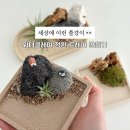 서울시 청소년수련관 | 안성 출강 | 안성시 청소년 수련관 / 워터클레이로 정원 트레이 만들기 🌿