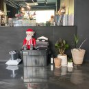 디아이엠(DIM) 이미지