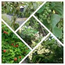 경은농장 이미지