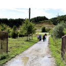 홍화민박 이미지