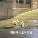 UR(경산시)-[삼성현로]-하-53 | 행복한주