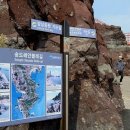 구덕산책로 숲길 이미지